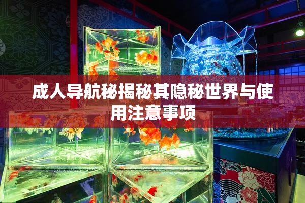成人导航秘揭秘其隐秘世界与使用注意事项