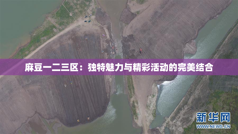麻豆一二三区：独特魅力与精彩活动的完美结合