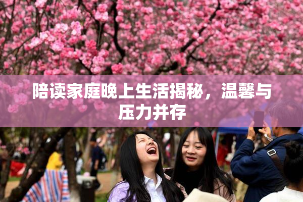 陪读家庭晚上生活揭秘，温馨与压力并存