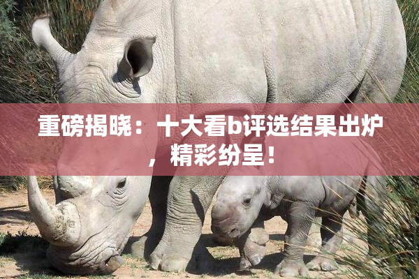 重磅揭晓：十大看b评选结果出炉，精彩纷呈！
