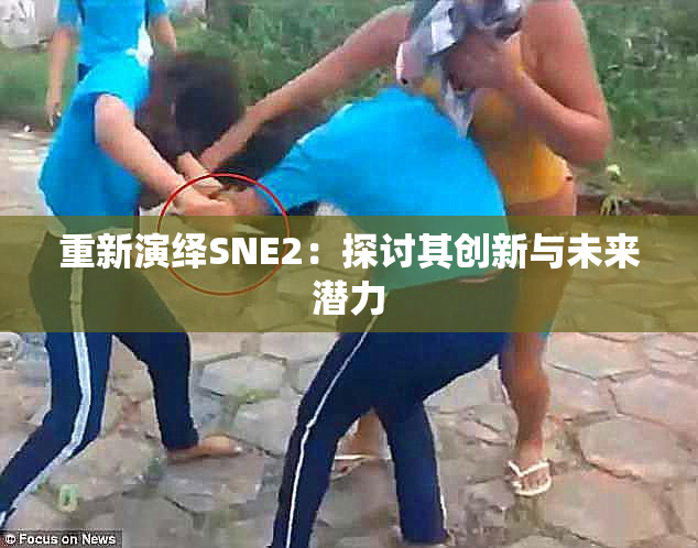 重新演绎SNE2：探讨其创新与未来潜力
