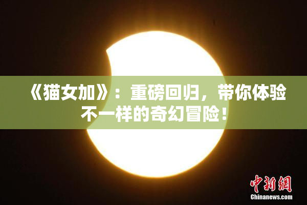 《猫女加》：重磅回归，带你体验不一样的奇幻冒险！