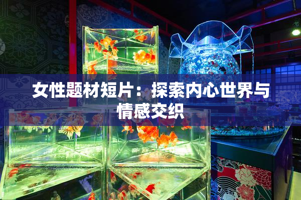 女性题材短片：探索内心世界与情感交织