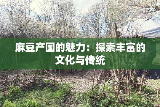 麻豆产国的魅力：探索丰富的文化与传统