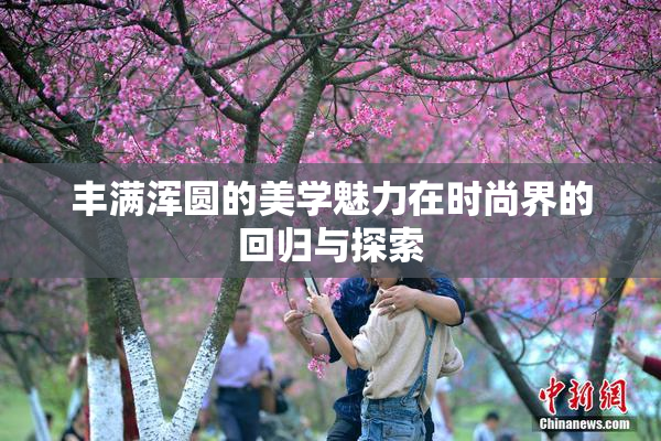 丰满浑圆的美学魅力在时尚界的回归与探索