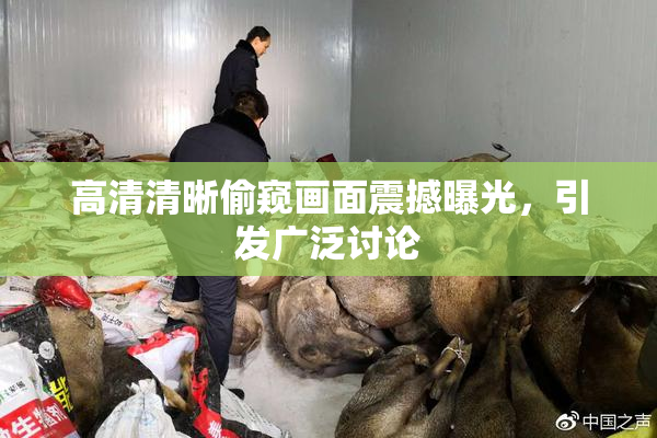 高清清晰偷窥画面震撼曝光，引发广泛讨论