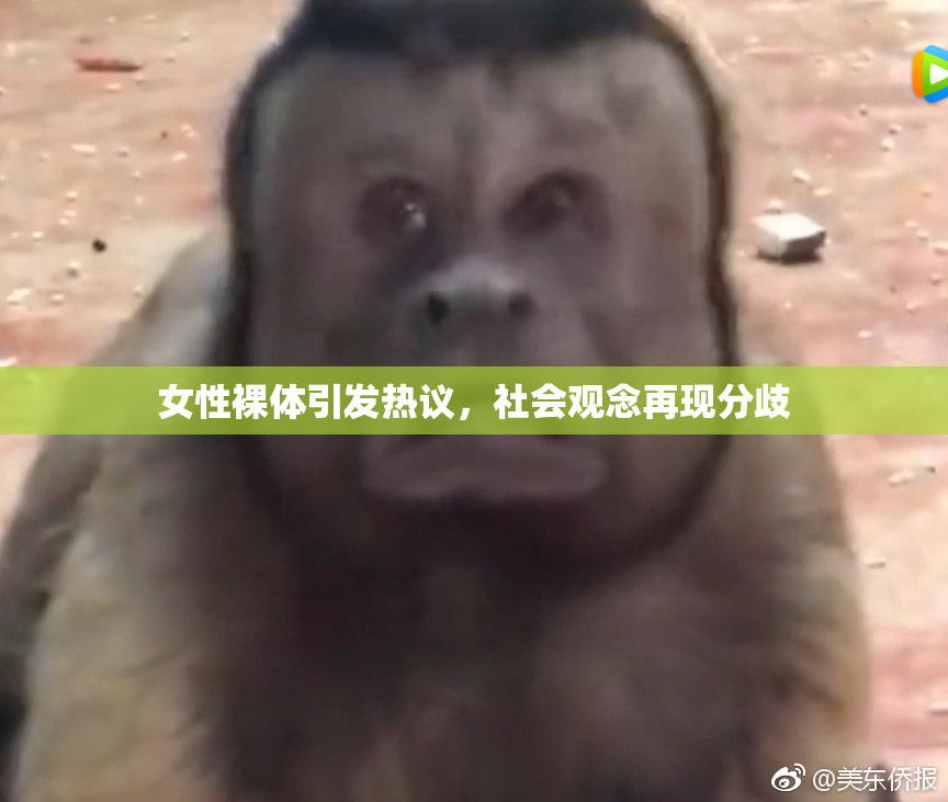 女性裸体引发热议，社会观念再现分歧