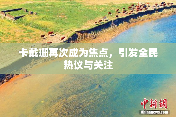 卡戴珊再次成为焦点，引发全民热议与关注
