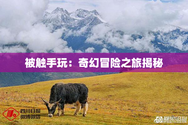 被触手玩：奇幻冒险之旅揭秘