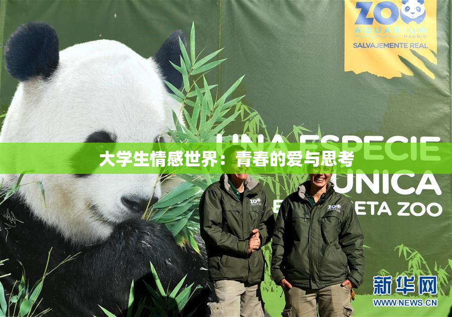 大学生情感世界：青春的爱与思考
