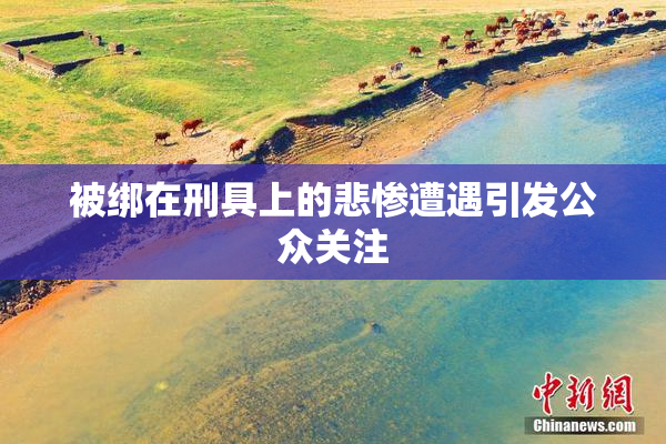 被绑在刑具上的悲惨遭遇引发公众关注