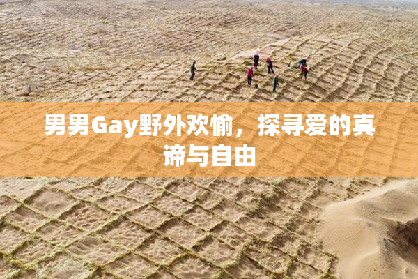 男男Gay野外欢愉，探寻爱的真谛与自由