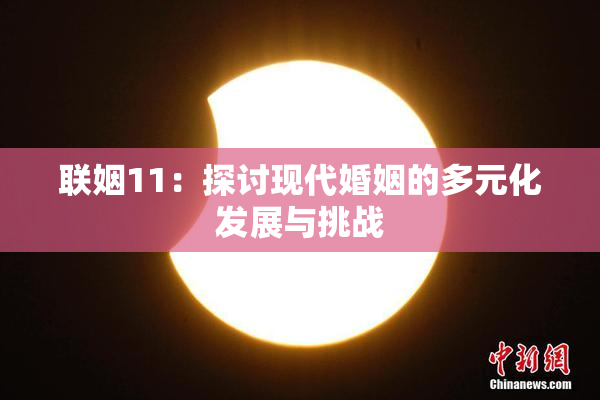 联姻11：探讨现代婚姻的多元化发展与挑战