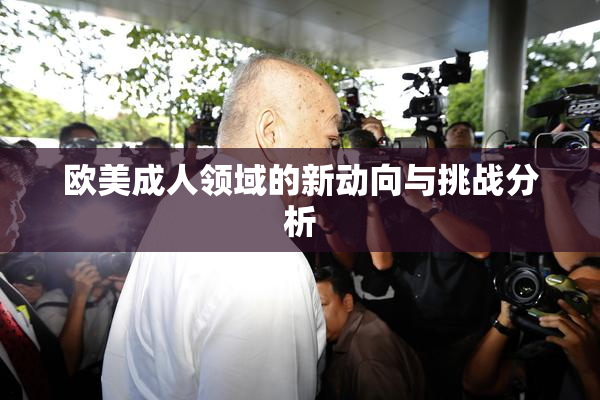 欧美成人领域的新动向与挑战分析