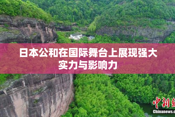 日本公和在国际舞台上展现强大实力与影响力