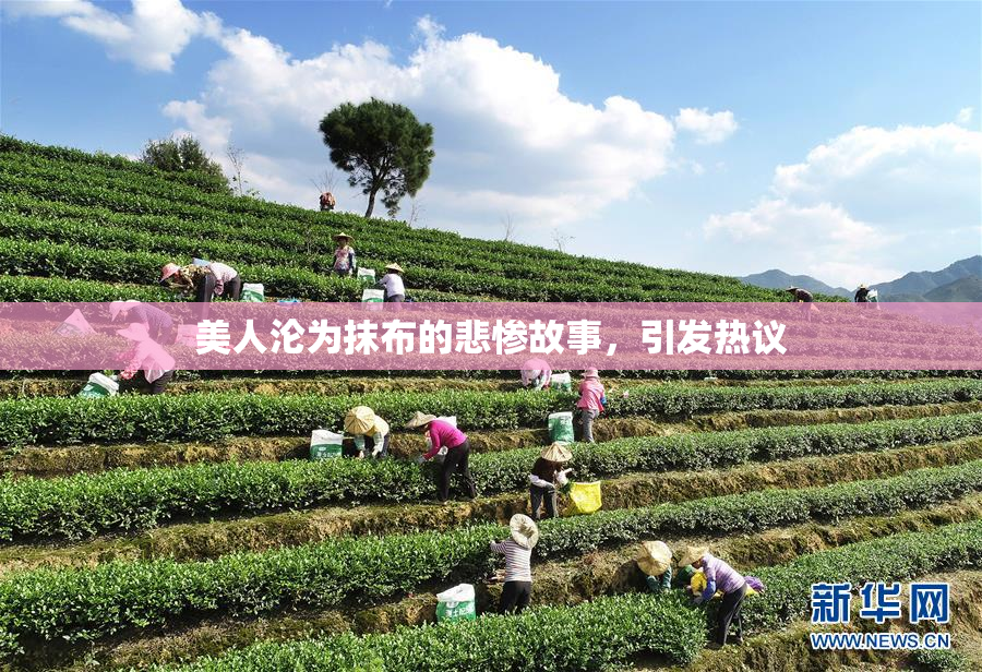 美人沦为抹布的悲惨故事，引发热议