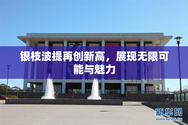 银枝波提再创新高，展现无限可能与魅力