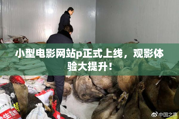 小型电影网站p正式上线，观影体验大提升！
