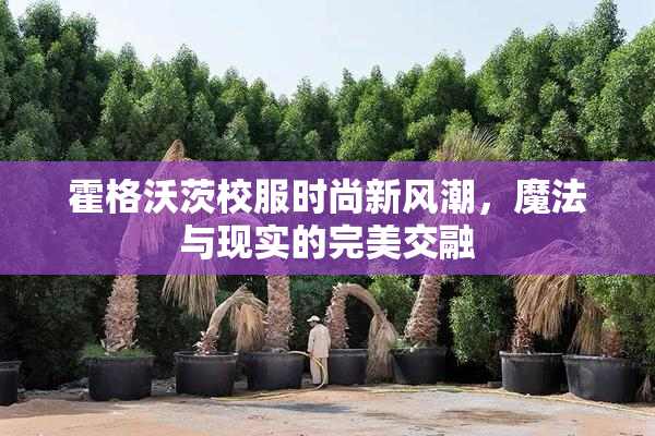 霍格沃茨校服时尚新风潮，魔法与现实的完美交融