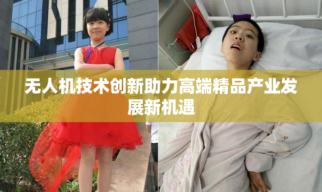 无人机技术创新助力高端精品产业发展新机遇