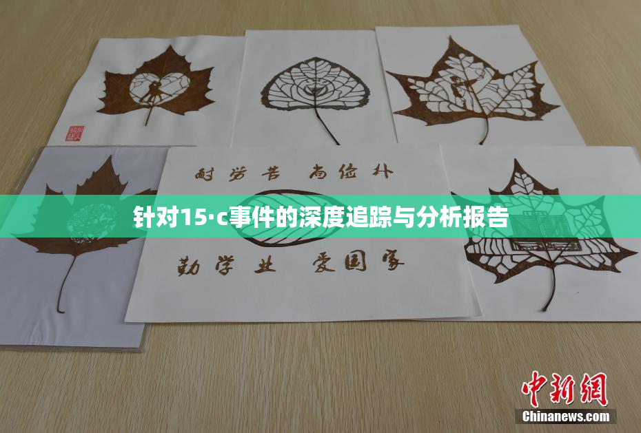 针对15·c事件的深度追踪与分析报告
