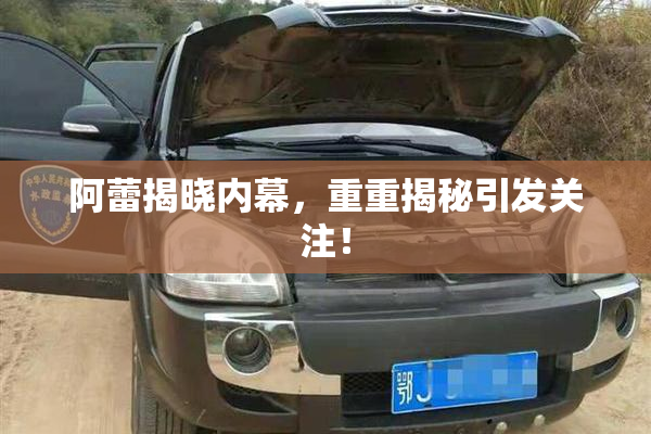 阿蕾揭晓内幕，重重揭秘引发关注！