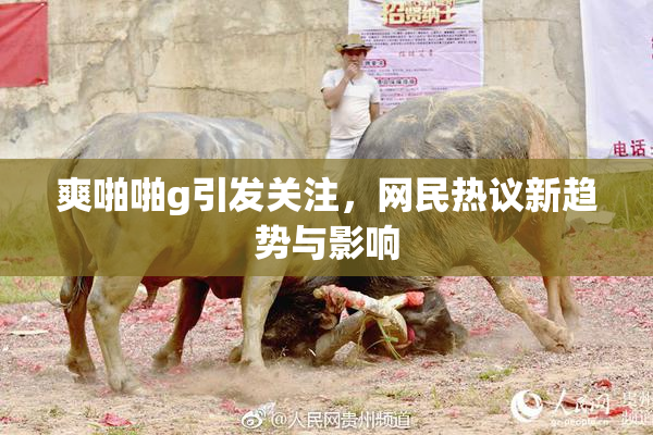 爽啪啪g引发关注，网民热议新趋势与影响