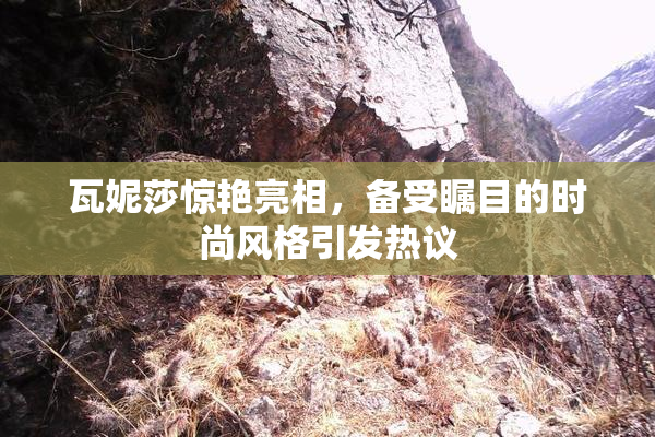 瓦妮莎惊艳亮相，备受瞩目的时尚风格引发热议