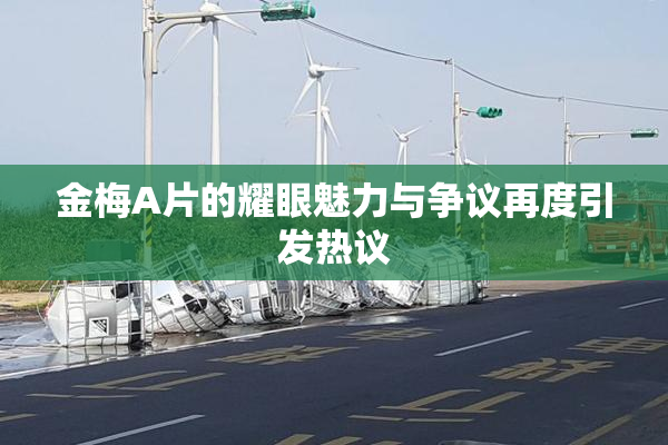 金梅A片的耀眼魅力与争议再度引发热议