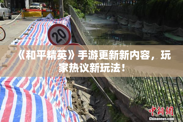 《和平精英》手游更新新内容，玩家热议新玩法！