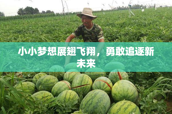 小小梦想展翅飞翔，勇敢追逐新未来