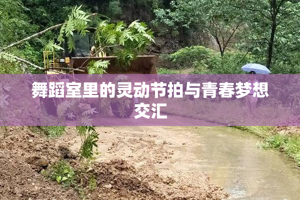舞蹈室里的灵动节拍与青春梦想交汇