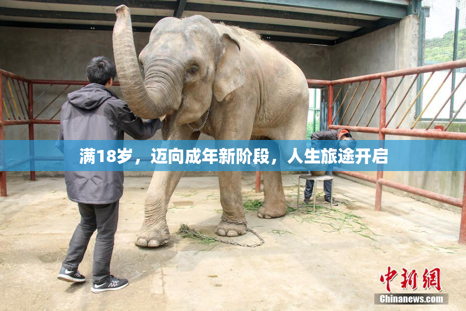 满18岁，迈向成年新阶段，人生旅途开启