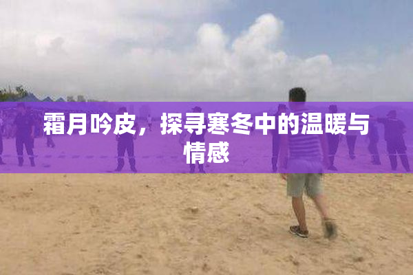 霜月吟皮，探寻寒冬中的温暖与情感