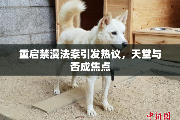 重启禁漫法案引发热议，天堂与否成焦点