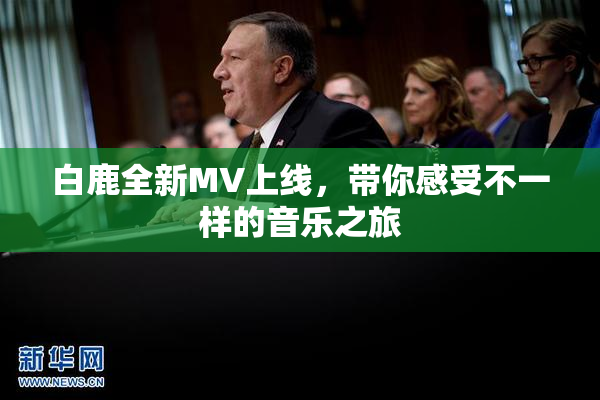 白鹿全新MV上线，带你感受不一样的音乐之旅
