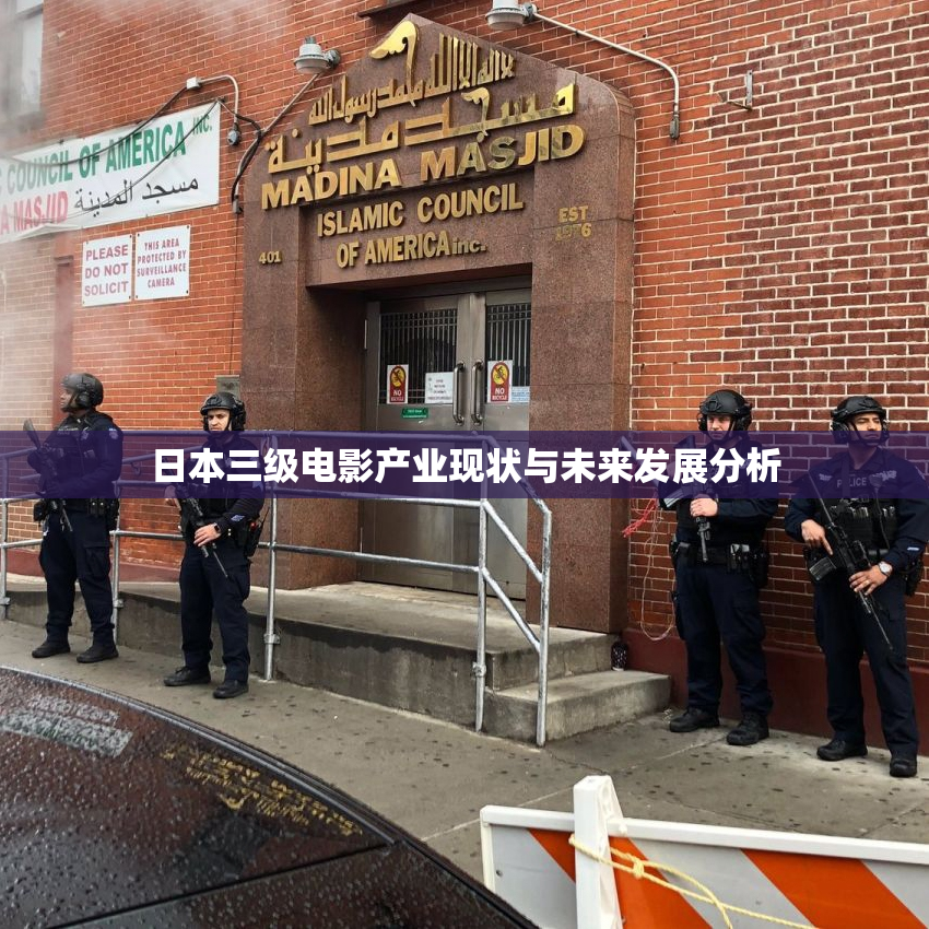 日本三级电影产业现状与未来发展分析