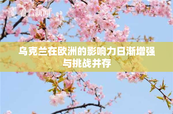 乌克兰在欧洲的影响力日渐增强与挑战并存