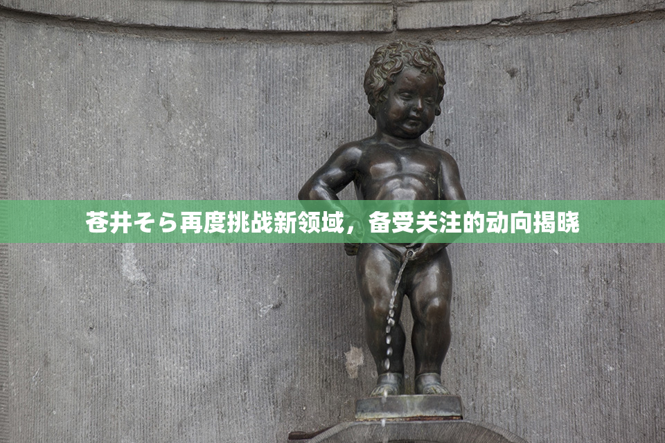 苍井そら再度挑战新领域，备受关注的动向揭晓