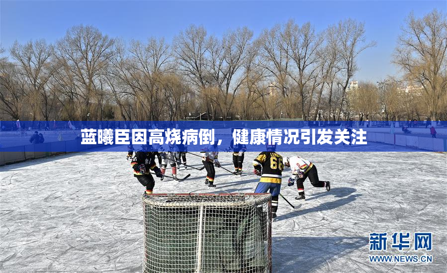 蓝曦臣因高烧病倒，健康情况引发关注