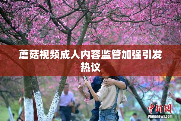 蘑菇视频成人内容监管加强引发热议