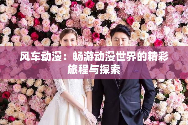 风车动漫：畅游动漫世界的精彩旅程与探索