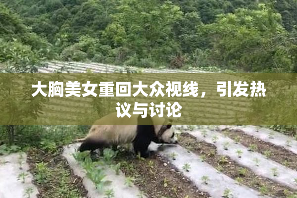 大胸美女重回大众视线，引发热议与讨论