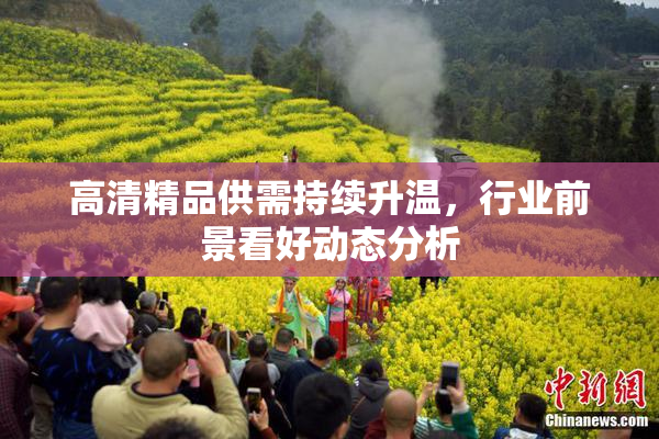 高清精品供需持续升温，行业前景看好动态分析