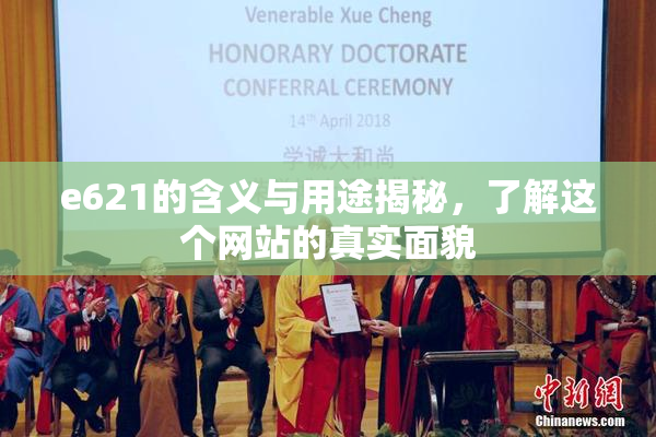 e621的含义与用途揭秘，了解这个网站的真实面貌