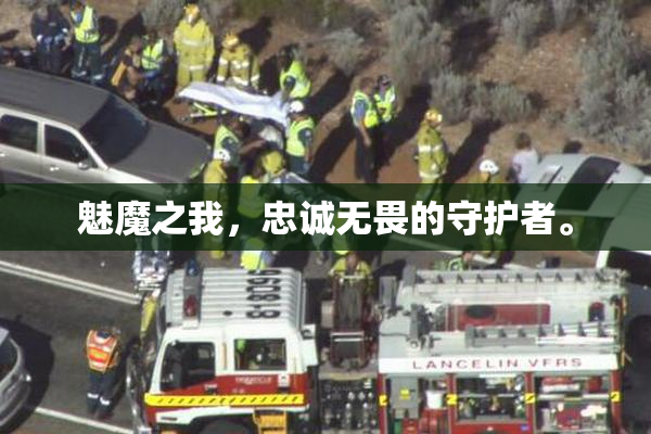 魅魔之我，忠诚无畏的守护者。