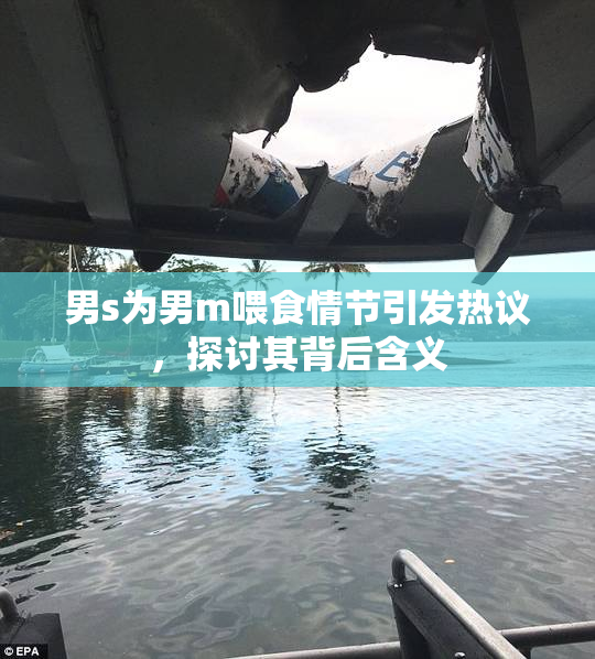 男s为男m喂食情节引发热议，探讨其背后含义