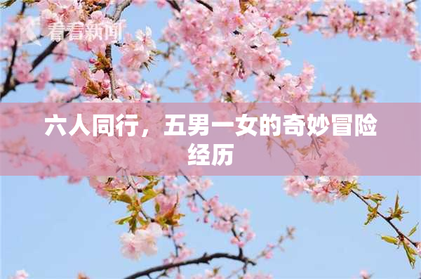 六人同行，五男一女的奇妙冒险经历