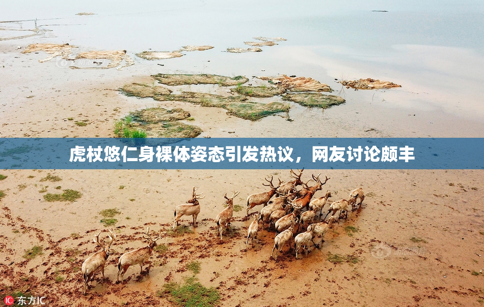 虎杖悠仁身裸体姿态引发热议，网友讨论颇丰