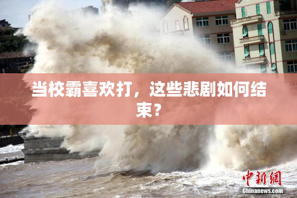 当校霸喜欢打，这些悲剧如何结束？